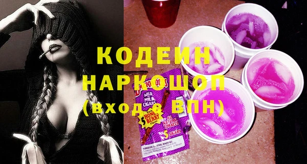 индика Барнаул