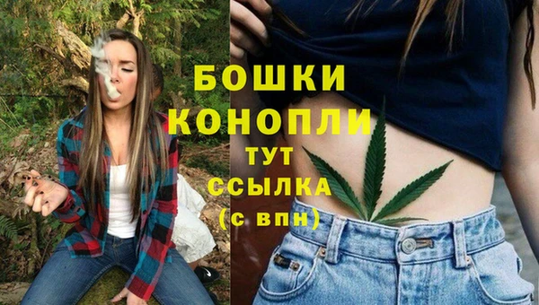 бошки Арсеньев