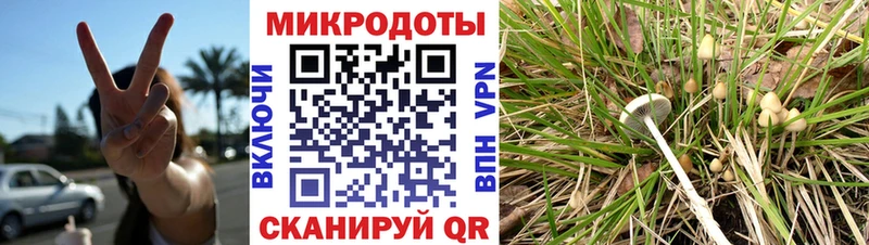 цена наркотик  Бабушкин  Псилоцибиновые грибы Psilocybe 