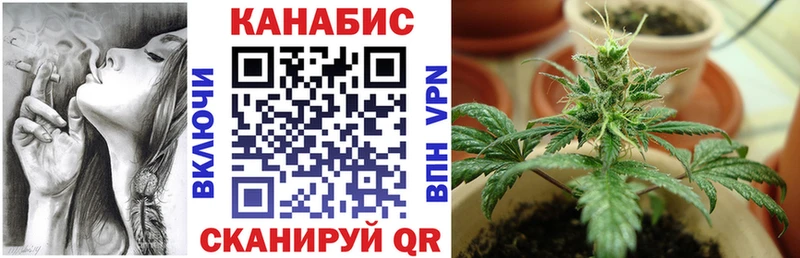 Бошки Шишки план  блэк спрут tor  Бабушкин 